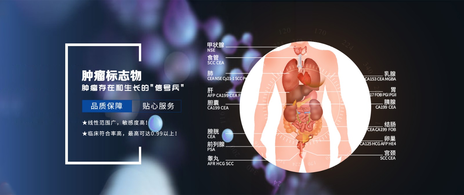 首頁(yè)banner