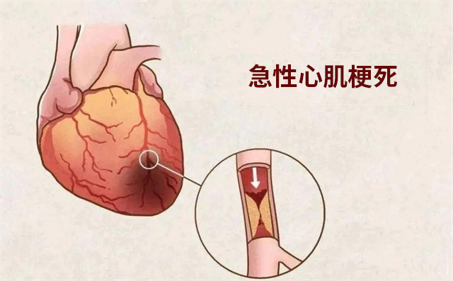 微信圖片_20240621085421 拷貝.jpg